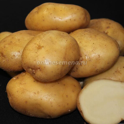 Картофель семенной Лорх (с/элита) (3кг)