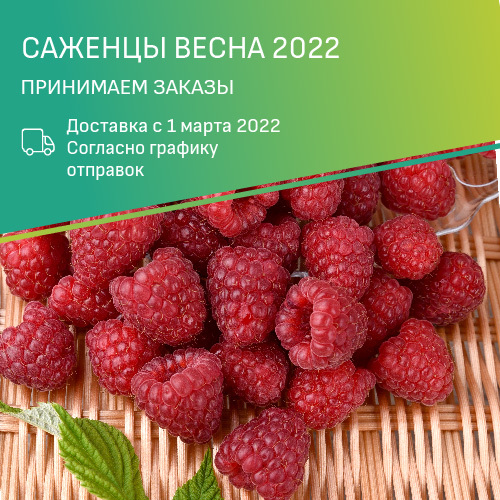 Семена Почтой Интернет Магазин На 2022