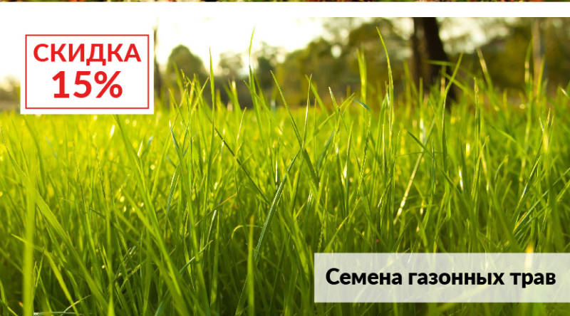  семена газонных трав: 15%