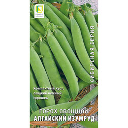Горох овощной Алтайский изумруд (Сибирская серия)