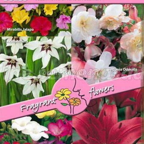 Коллекция «Ароматные цветы» (Florex 6591)