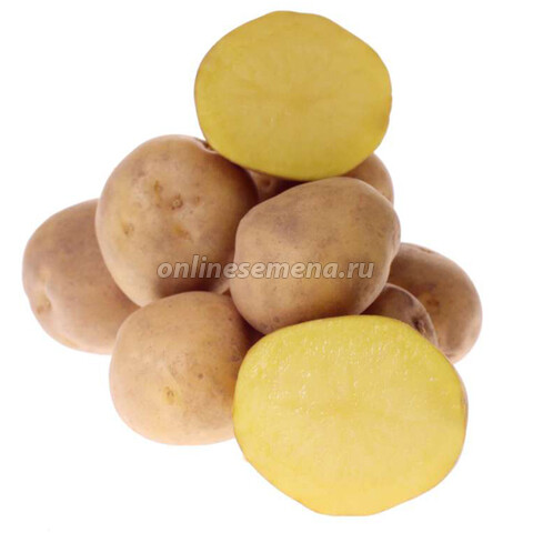 Картофель семенной Метеор (с/элита) (3 кг)
