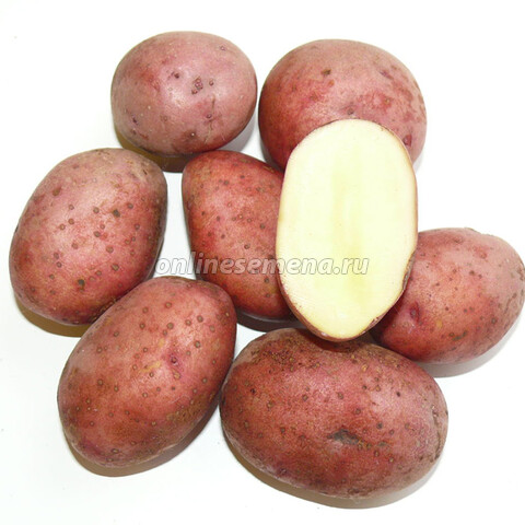Картофель семенной Любава (элита) (3кг)