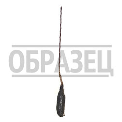 Яблоня колонновидная Московское ожерелье (Х-2) (семенной подвой)