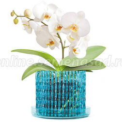 Горшок корона для орхидей (бирюза) mini
