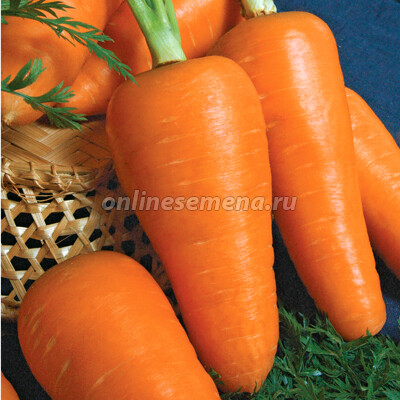 Семена моркови Шантенэ Королевская'