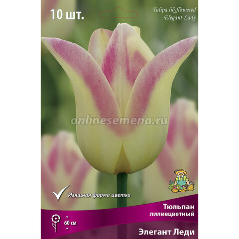 Тюльпан лилиецветный Элегант Леди (10 шт.)