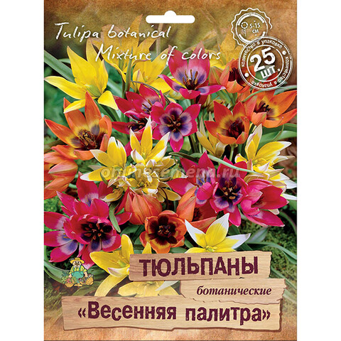 Тюльпаны ботанические Весенняя палитра смесь окрасок (25 шт.)