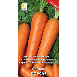 Морковь Корсар