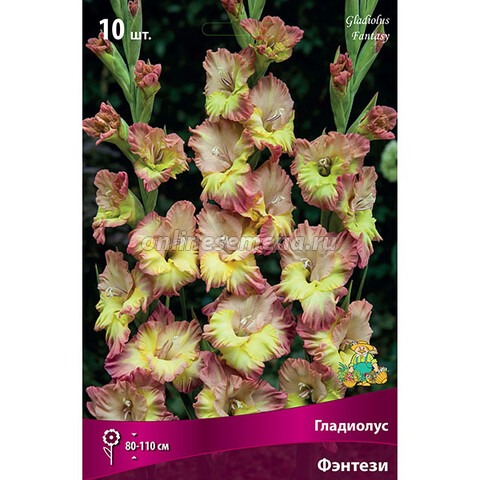 Гладиолус крупноцветковый Фэнтези (10 шт.)