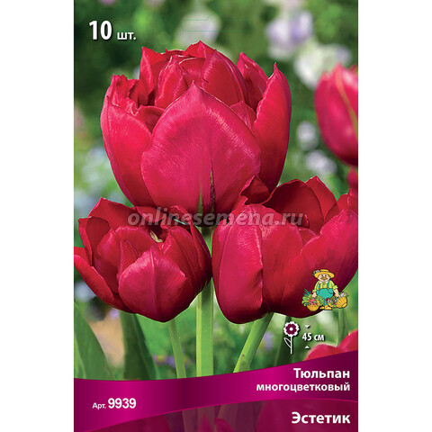 Тюльпан Многоцветковый Эстетик (10 шт.)