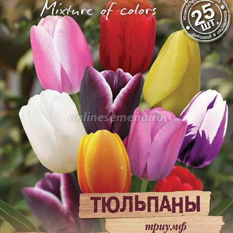 Тюльпаны триумф «Весенний фейерверк» смесь (25 шт.)