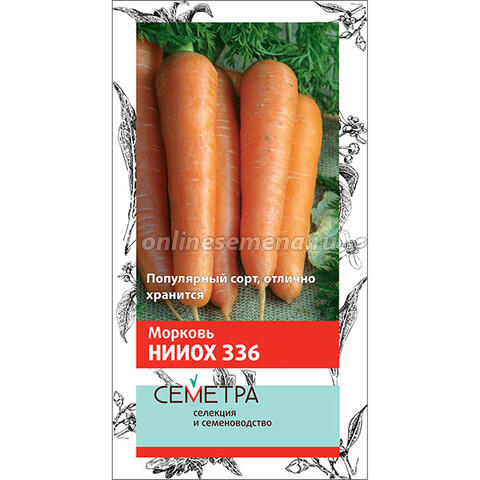 Морковь НИИОХ 336 (Семетра)