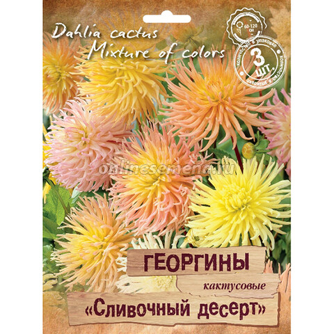 Георгины кактусовые Сливочный десерт (3 шт.)