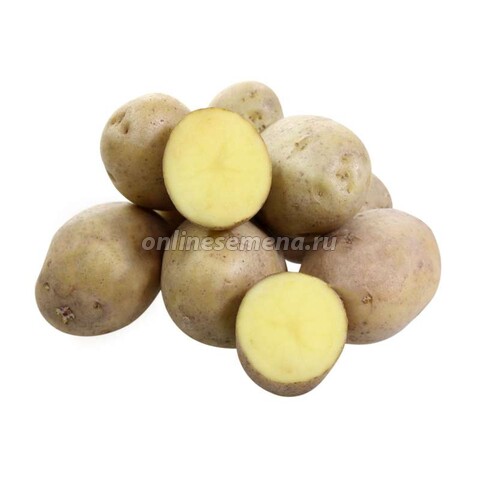 Картофель семенной Лаперла (1 репродукция) (3кг)