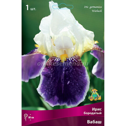 Ирис бородатый Вабаш (Iris germanika Wabash)