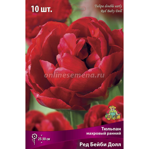 Тюльпан Махровый ранний Ред Бейби Долл (10 шт.)