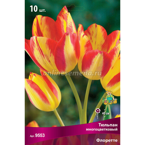 Тюльпан Многоцветковый Флоретте (10 шт.)