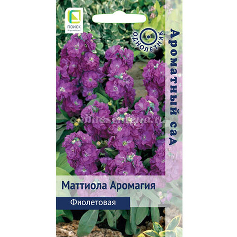 Маттиола Аромагия Фиолетовая (Ароматный сад)