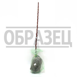 Яблоня колонновидная Московское ожерелье Х-2 (подвой 54-118 полукарликовый) (в сетке)