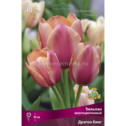 Тюльпан Многоцветковый Драгон Кинг (10 шт.)