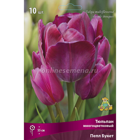 Тюльпан Многоцветковый Пёпл букет* (10 шт.)