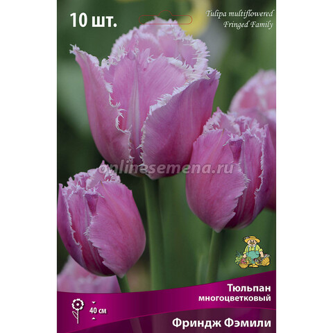 Тюльпан Многоцветковый Фриндж Фэмили (10 шт.)