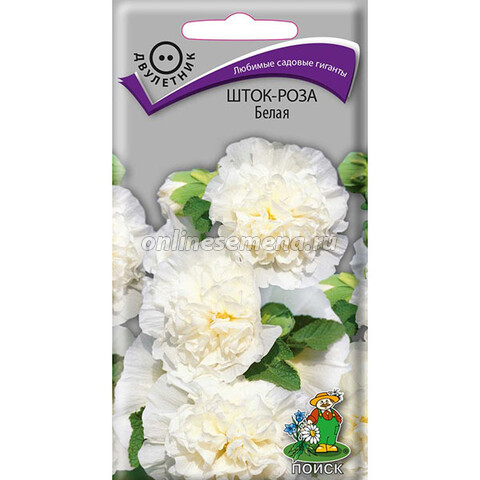 Шток-роза Белая